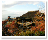 DSCN2239.jpg